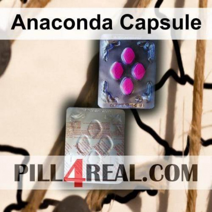 Anaconda Capsule 883