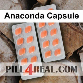 Anaconda Capsule 982