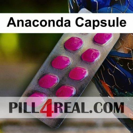 Anaconda Capsule 996