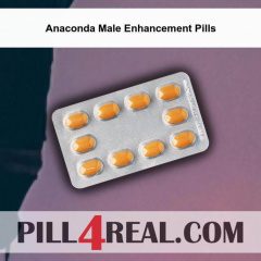 Anaconda Male Enhancement Pills 072