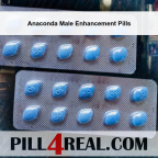 Anaconda Male Enhancement Pills 176