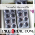Anaconda Male Enhancement Pills 392