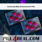 Anaconda Male Enhancement Pills 433