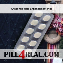 Anaconda Male Enhancement Pills 882