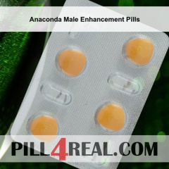 Anaconda Male Enhancement Pills 883