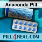 Anaconda Pill 062