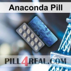 Anaconda Pill 294