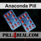 Anaconda Pill 387