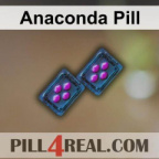 Anaconda Pill 505