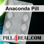 Anaconda Pill 685