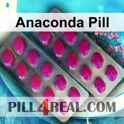 Anaconda Pill 941
