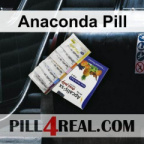 Anaconda Pill 987