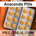 Anaconda Pills 711