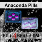Anaconda Pills 969