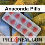 Anaconda Pills 999