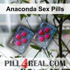 Anaconda Sex Pills 101