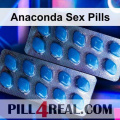 Anaconda Sex Pills 539
