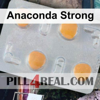Anaconda Strong 035