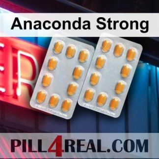 Anaconda Strong 078