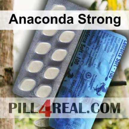 Anaconda Strong 131
