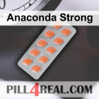 Anaconda Strong 146