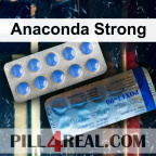 Anaconda Strong 325