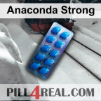 Anaconda Strong 478