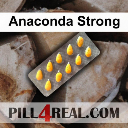 Anaconda Strong 543
