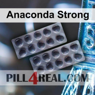 Anaconda Strong 587