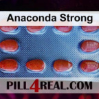 Anaconda Strong 604