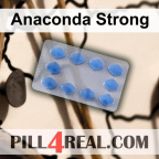 Anaconda Strong 710
