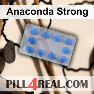 Anaconda Strong 710