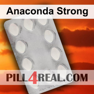 Anaconda Strong 715