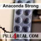 Anaconda Strong 914