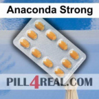 Anaconda Strong 926