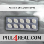 Anaconda Strong Formula Pills 679