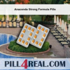 Anaconda Strong Formula Pills 781