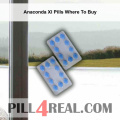 Anaconda Xl Pills Where To Buy 027