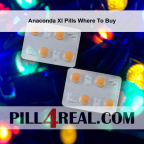 Anaconda Xl Pills Where To Buy 078