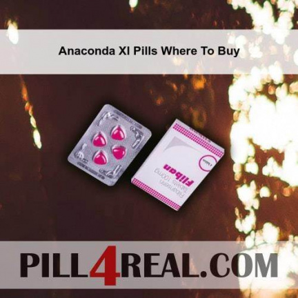 Anaconda Xl Pills Where To Buy 217