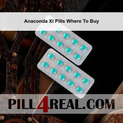Anaconda Xl Pills Where To Buy 273