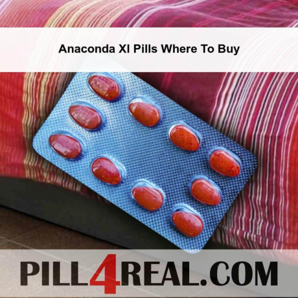 Anaconda Xl Pills Where To Buy 444