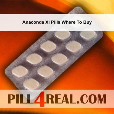 Anaconda Xl Pills Where To Buy 450