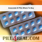 Anaconda Xl Pills Where To Buy 452
