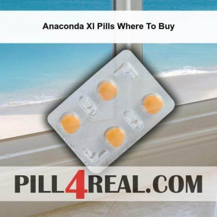 Anaconda Xl Pills Where To Buy 485