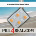 Anaconda Xl Pills Where To Buy 485