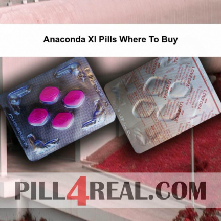 Anaconda Xl Pills Where To Buy 531