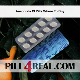 Anaconda Xl Pills Where To Buy 539