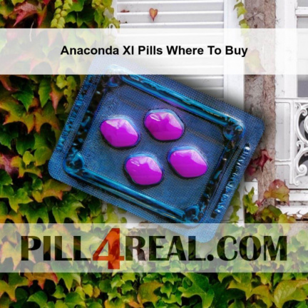 Anaconda Xl Pills Where To Buy 568