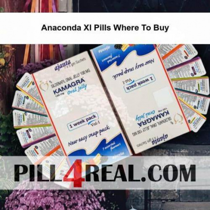 Anaconda Xl Pills Where To Buy 695